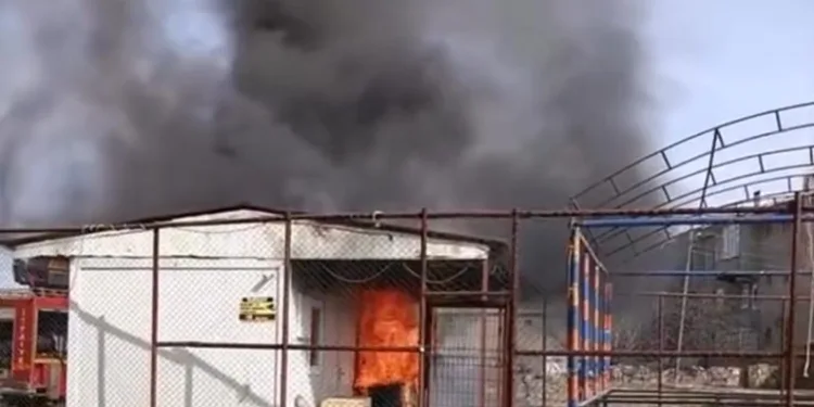 Bodrum’da uyuşturucu ve silah operasyonu: 2 tutuklama