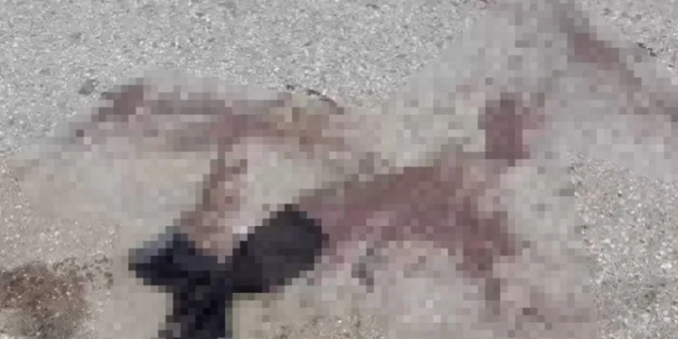 Samsun’da 3’üncü kattan düşen şahıs hayatını kaybetti