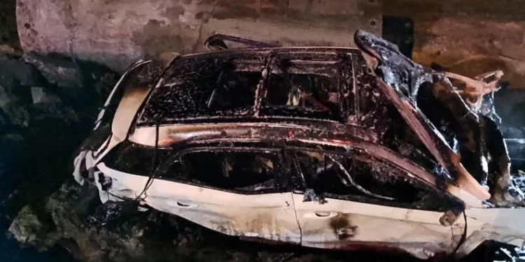 Adana’da polis kenti adeta ablukaya aldı, 106 suçlu yakalandı
