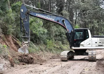 Gemlik’te Patili Canlar Yeni Yuvalarına Kavuşuyor