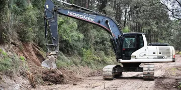 Gemlik’te Patili Canlar Yeni Yuvalarına Kavuşuyor