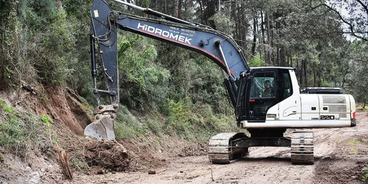 Gemlik’te Patili Canlar Yeni Yuvalarına Kavuşuyor