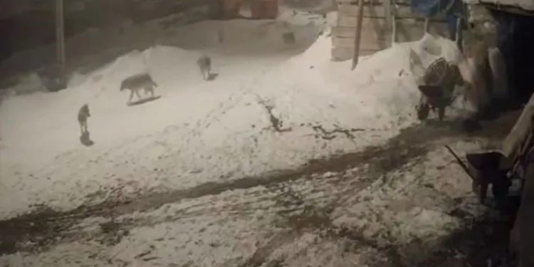 İncirliova’da motosiklet kazası: 1 ölü