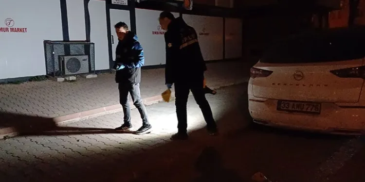 Bodrum’da uyuşturucu ve silah operasyonu: 2 tutuklama