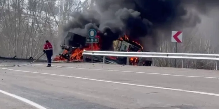 Yoldan çıkıp devrilen tır alev alev yandı