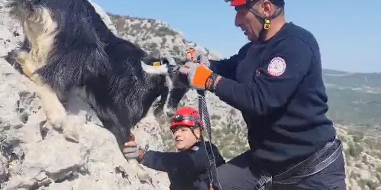 Kırklareli’nde 45 düzensiz göçmen yakalandı