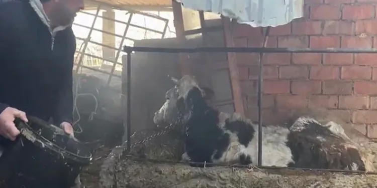 Kırklareli’nde 45 düzensiz göçmen yakalandı