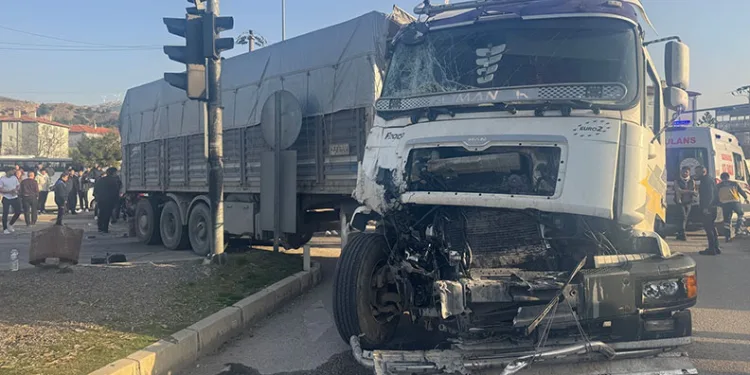Yoldan çıkıp devrilen tır alev alev yandı