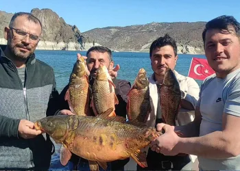 Adana’da Çam Kese Böcekleriyle Mücadele Başlatıldı