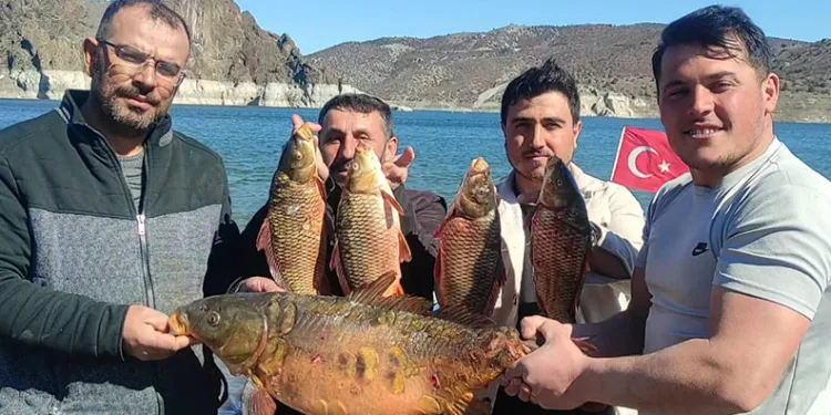 Adana’da Çam Kese Böcekleriyle Mücadele Başlatıldı