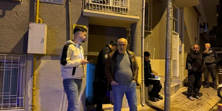 Refüje çıkan kamyonet ağaçları devirip, direğe çarparak durabildi