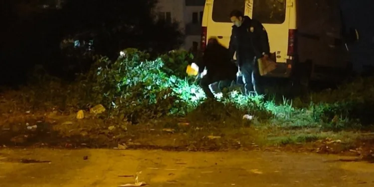 Refüje çıkan kamyonet ağaçları devirip, direğe çarparak durabildi