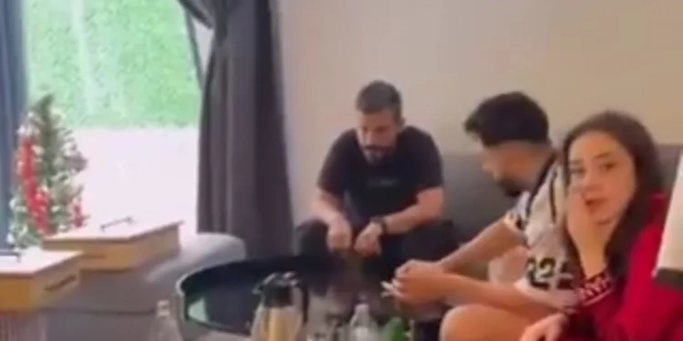 Refüje çıkan kamyonet ağaçları devirip, direğe çarparak durabildi