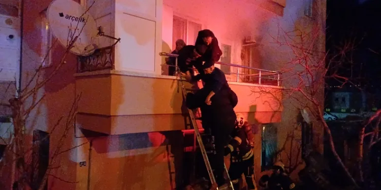 Refüje çıkan kamyonet ağaçları devirip, direğe çarparak durabildi