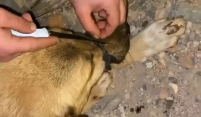 Gece çıkan yangını şans eseri fark eden kulakları az işiten kadın o anları anlattı
