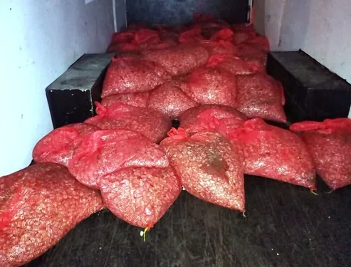 Emniyet kemeri hayat kurtardı