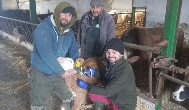 Zabıta ekipleri ürünleri tek tek kontrol etti