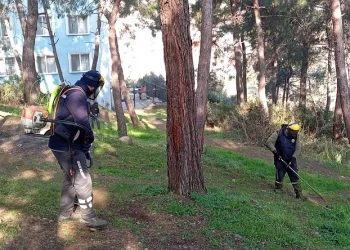 Gemlik Belediyesi