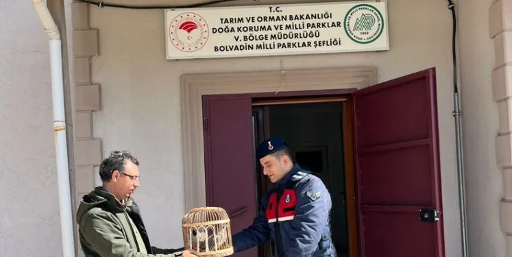 Emniyet kemerine tutunarak motosiklet çektiler