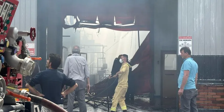 Emniyet kemerine tutunarak motosiklet çektiler