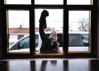 Downsendromlu bireyler bir günlüğüne kafe işletti