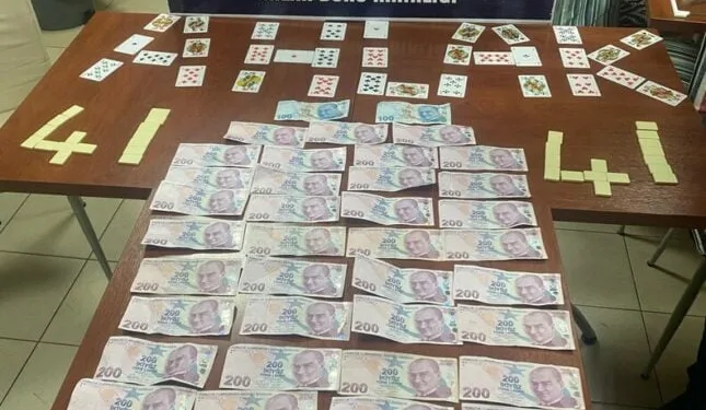 Aydın’da 5 düzensiz göçmen yakalandı