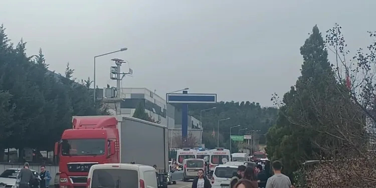 Dört aracın karıştı zincirleme kazada kağıt gibi ezilen kabinden sağ çıktı