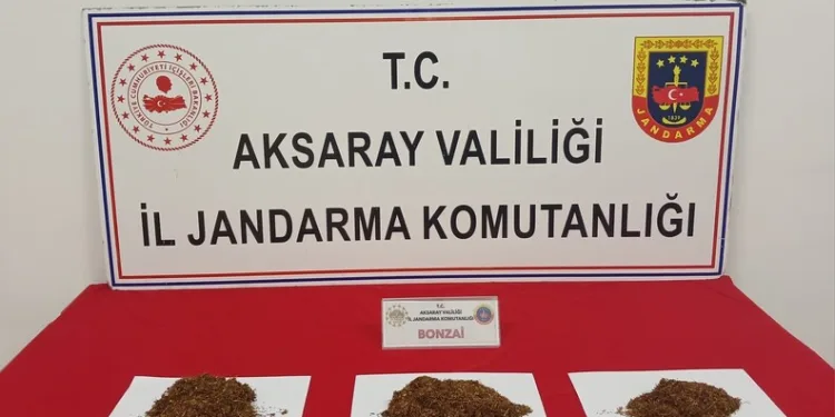 Dolandırıcılık suçundan aranan 2 şahıs yakalandı