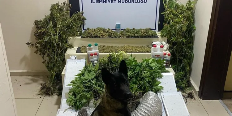 Sulama kanalında cansız bedeni bulundu, eşinin feryatları yürekleri dağladı