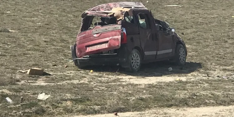 Düzce’de kaçak silah ve mühimmat operasyonu