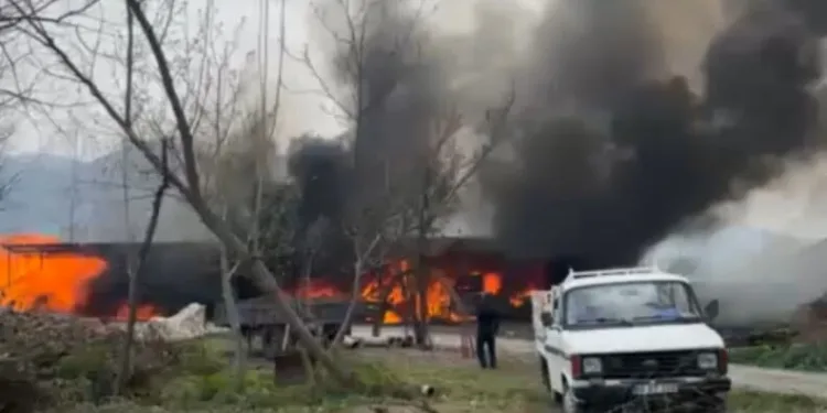 Jandarma ekipleri uyuşturucuya geçit vermedi