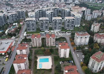 sazan sarmalı