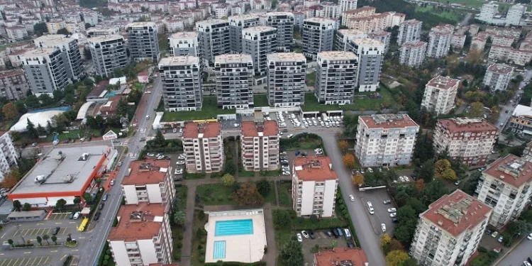 sazan sarmalı