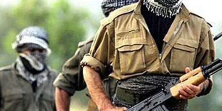 PKK: “Öcalan’ın çağrısına uyacağız”