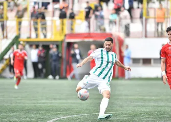 Tahir Babaoğlu