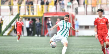 Tahir Babaoğlu