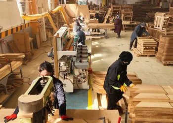 Güçlü ellerin hikayesi: Kadın marangozlar