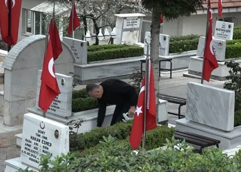 İznik sise teslim