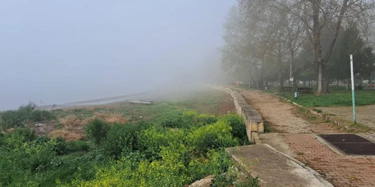 İznik sise teslim