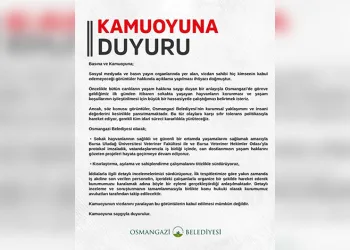 Osmangazi’den sokak hayvanları açıklaması