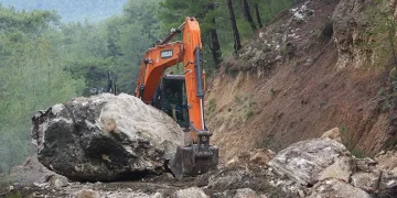 Dev kaya yola düştü, tarım alanları zarar gördü