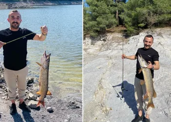 İnegöl’de balıkçının oltasına 7 kiloluk turna takıldı