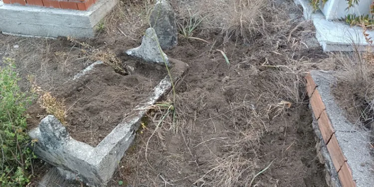Yaban domuzları mezarlara zarar verdi
