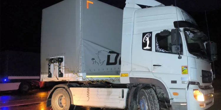 Kastamonu’da aracın çarptığı anne ve yavru ayı telef oldu
