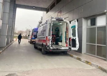 Tavuk döner kabusu: 300 kişi zehirlendi