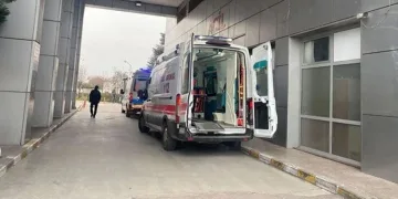 Tavuk döner kabusu: 300 kişi zehirlendi