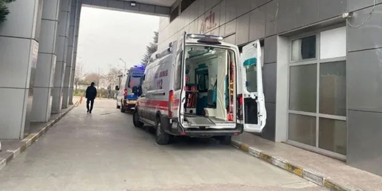 Tavuk döner kabusu: 300 kişi zehirlendi