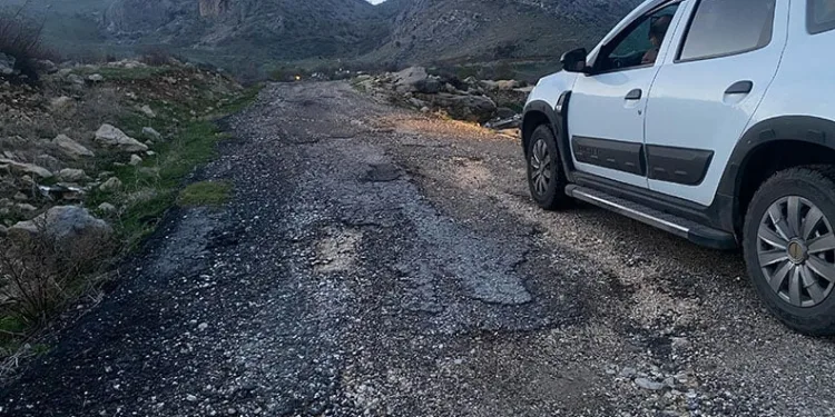 Diyarbakır’da vatandaştan DEM Partili Lice Belediyesine yol tepkisi