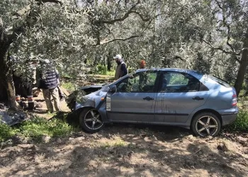 Bursa’da köpeğe çarpmamak için tarlaya uçtu