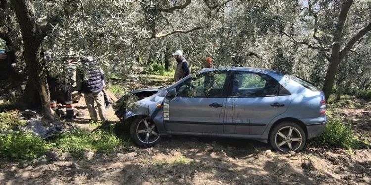 Bursa’da köpeğe çarpmamak için tarlaya uçtu
